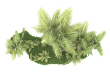 Tropical forest isolated on transparent background. 3d rendering - illustration