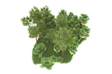 Fototapeta premium Tropical forest isolated on transparent background. 3d rendering - illustration
