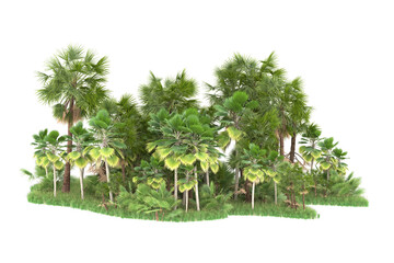 Tropical forest isolated on transparent background. 3d rendering - illustration
