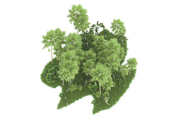 Tropical forest isolated on transparent background. 3d rendering - illustration