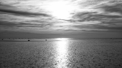 Obraz premium Sunset, seagull in the sky. Light waves. Black and white shot. On the Baltic Sea.