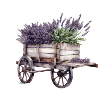 Watercolor illustration of wooden cart with lavender