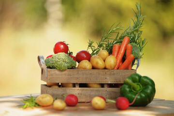 Gemüse Kiste frisch aufgefüllt mit feinem gesundem Gemüse aus dem Garten - 616929871