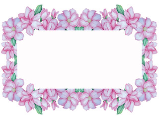 Magnolia flowers watercolor vector set. Wedding invitation decorations.