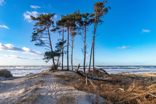 Im Januar am Darsser Weststrand.