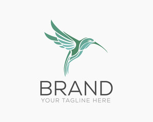 abstract vector flying hummingbird logo icon symbol design template illustration inspiration