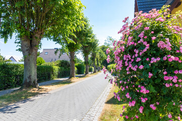 Spaziergang am Nachmittag durch Zingst an der Ostsee.