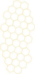 Bee Honeycomb Vector