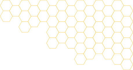 Bee Honeycomb Vector