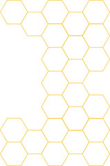 Bee Honeycomb Vector