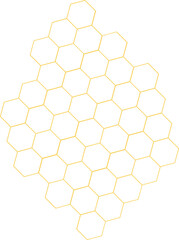 Bee Honeycomb Vector