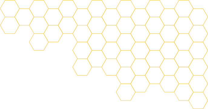 Bee Honeycomb Vector