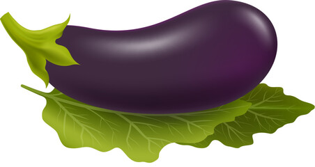 Obraz na płótnie Canvas Fresh aubergine 3d image