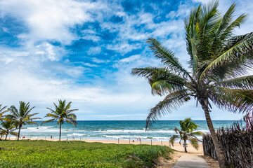Fototapeta na wymiar Imbassai beach, Bahia, Brazil. Beautiful beach in the northeast with a river and palm trees.