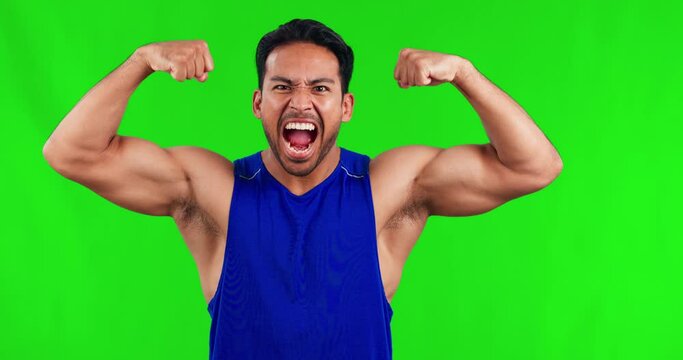 Muscular asian man, arm flex and green screen for bodybuilding or strength against a studio background. Portrait of strong male person or bodybuilder show muscle, power or fitness on mockup space