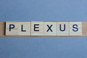 text the word plexus from brown wooden small letters with black font on an gray table