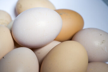 Dirty eggs. eggs in the mud are not washed. Yellow domestic eggs.