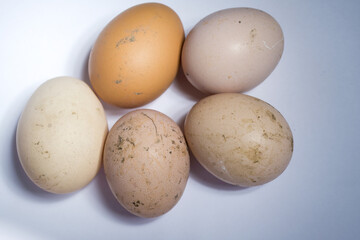 Dirty eggs. eggs in the mud are not washed. Yellow domestic eggs.