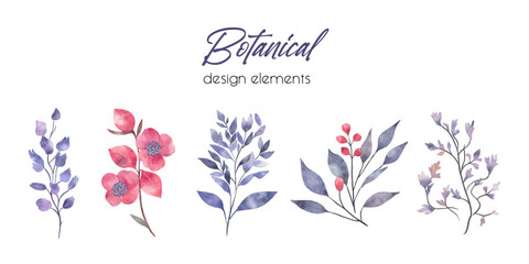 Set of watercolour botanicals for your design. Purple flowers and leaves isolated. Collection of botanic flowers and branches