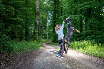 A dog of the Rottweiler breed tries to catch a ball held by a little girl in a forest