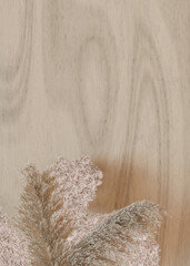 Vertical background with dried plants and empty space for text. Bottom border with copy space. Realistic pampas grass. 3D rendering.