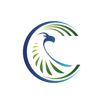 Eagle head creative logo. Eagle bird concept flat style graphic design logo.