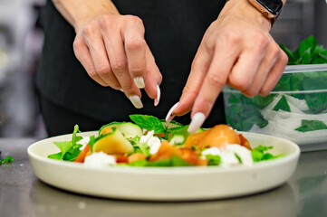 Obraz na płótnie Canvas woman chef hand decorated smoked salmon salad with cucumbers, cream cheese, arugula