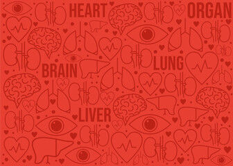 Human organ pattern design
