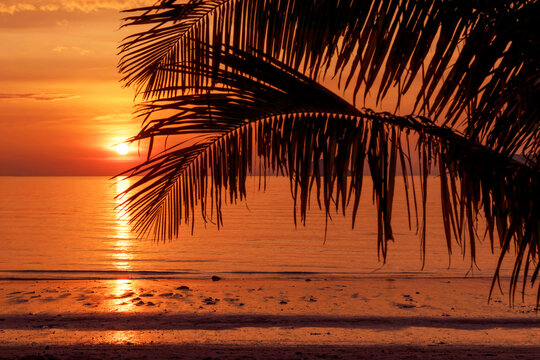 A beautiful tropical beach in golden colors at sunset. For traveling and relaxing during the vacation relax time.