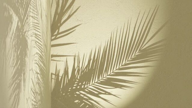 lime green textured wall with palm frond shadow waving in wind on back, vertical