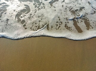 Texture, background
