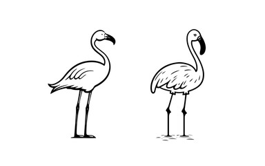 Flamingo doodle line art illustration with black and white style for template.