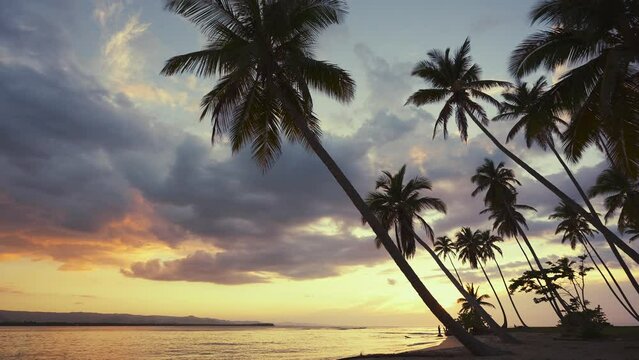 Amazing Hawaiian sunset landscape. Picturesque summer sunset in the Caribbean. Luxurious palm trees over the sea under a colorful sky. Dream sunset over tropical sea, fantastic landscape of nature.