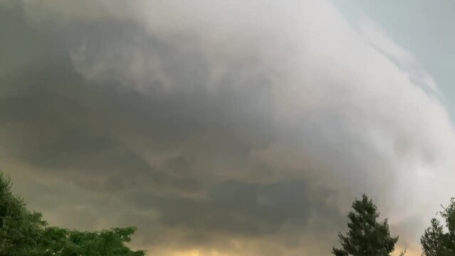 Arcus cloud, Roll clouds Shelf clouds - menacing thundercloud moving over trees in stormy summer day with hot weather. Visible thunderstorm with wind and rain.