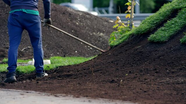 Young man city worker levels black soil on not finished greensward hill in city park. Male prepares topsoil for lawn laying crop body
