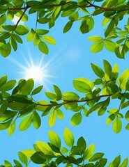 fresh green leaves on blue sky. green leaves on summer sunlight and blue sky.
