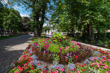 Flower bed in the park, Oslo, Norway.