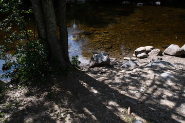 Tree shadow of the river bank of Akerselva.