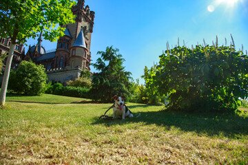 Siebengebirge Drachenfels Schloss Drachenfels Zahnradbahn