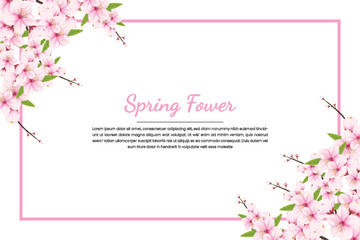 Obraz na płótnie Canvas Spring Sakura branch background Vector illustration. Pink Cherry blossom on fake transparent background