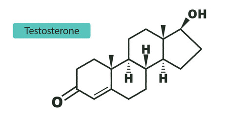 Testosterone molecule. Structural chemical formula. Male sex hormone. Infographic. Vector. - obrazy, fototapety, plakaty