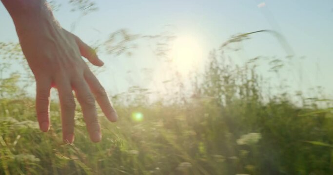 Lens flare, close up of slow motion female hand run through meadow barely touching tops of wild tall grasses, young woman enjoying warm sunny day on her day off,soft focus.