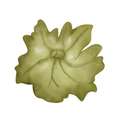 Pumpkin leaf watercolor