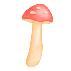 mushroom watercolor