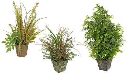 Green plants in pots with transparent backgroundd