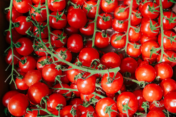 Cherry tomatoes sold on street green market