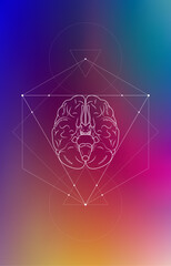 Minimal neuroscience infographic on gradient. Human brain lobes and functions illustration. Brain anatomy structure sections. Futuristic neurobiology scientific medical vector.