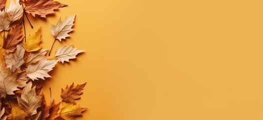 maple leaf autumn banner background, blank empty plain color background with copy space  Generative Ai