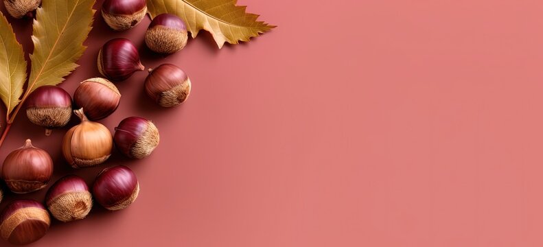 raw chestnut banner background, blank empty plain color background with copy space  Generative Ai