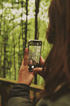 Young woman photographing a redwood forest with her cell phone.